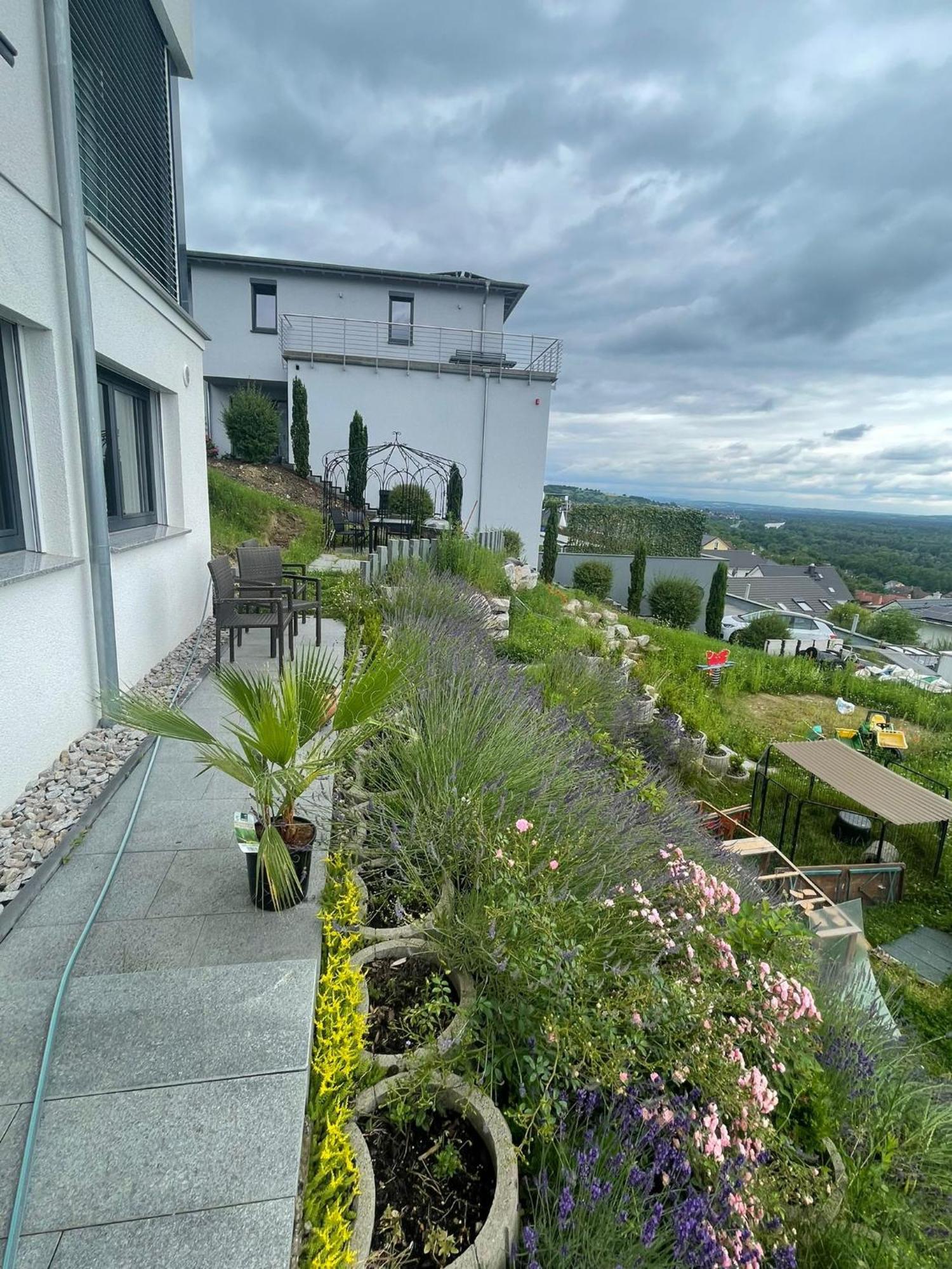 Vogesenblick Leilighet Bad Bellingen Eksteriør bilde